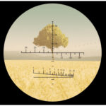 Levenhuk-Verrekijkers-10x42-Camo-Rind-6