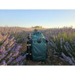 Summit-Creative Tenzing Rolltop Backpack neergezet tussen lavendelveld met volledige uitrustingstaak