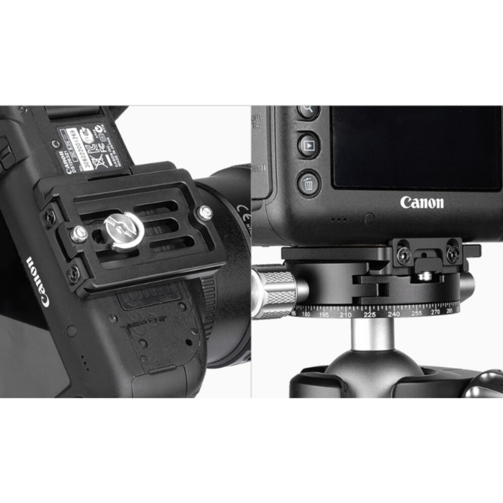 Leofoto NP-60 Snelkoppelingsplaat gemonteerd onder Canon camera op Arca-Swiss statiefkop