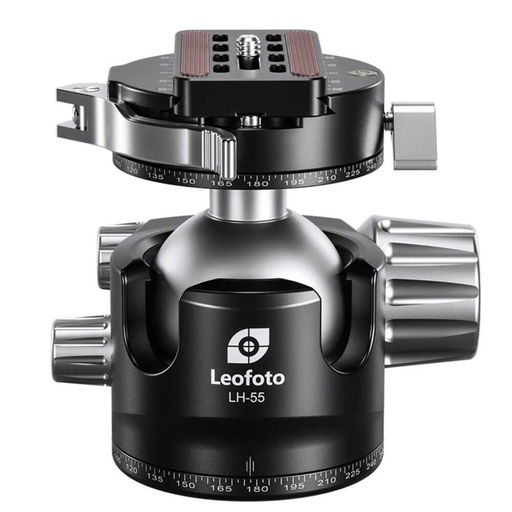 Leofoto LH-55PCL statiefkogelkop achteraanzicht met brede kogelbehuizing en horizontale panoramaskala.