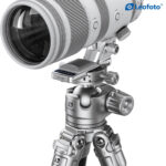 Leofoto CF-07W Objectiefvoet gemonteerd onder witte Canon RF telezoom op balhoofd voor stabiele en uitgebalanceerde ondersteuning.