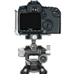 Leofoto UL-01T L-bevestiging titanium gemonteerd onder DSLR-camera op Arca-Swiss compatibel statiefkop in horizontale stand.