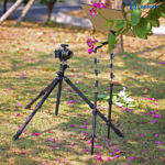 Leofoto-Multi-joint-arm-AM-1TXL-2 Leofoto AM-1TXL multi-scharnierende arm buiten gebruikt naast statief met camera voor het positioneren van accessoires tussen bloemen.