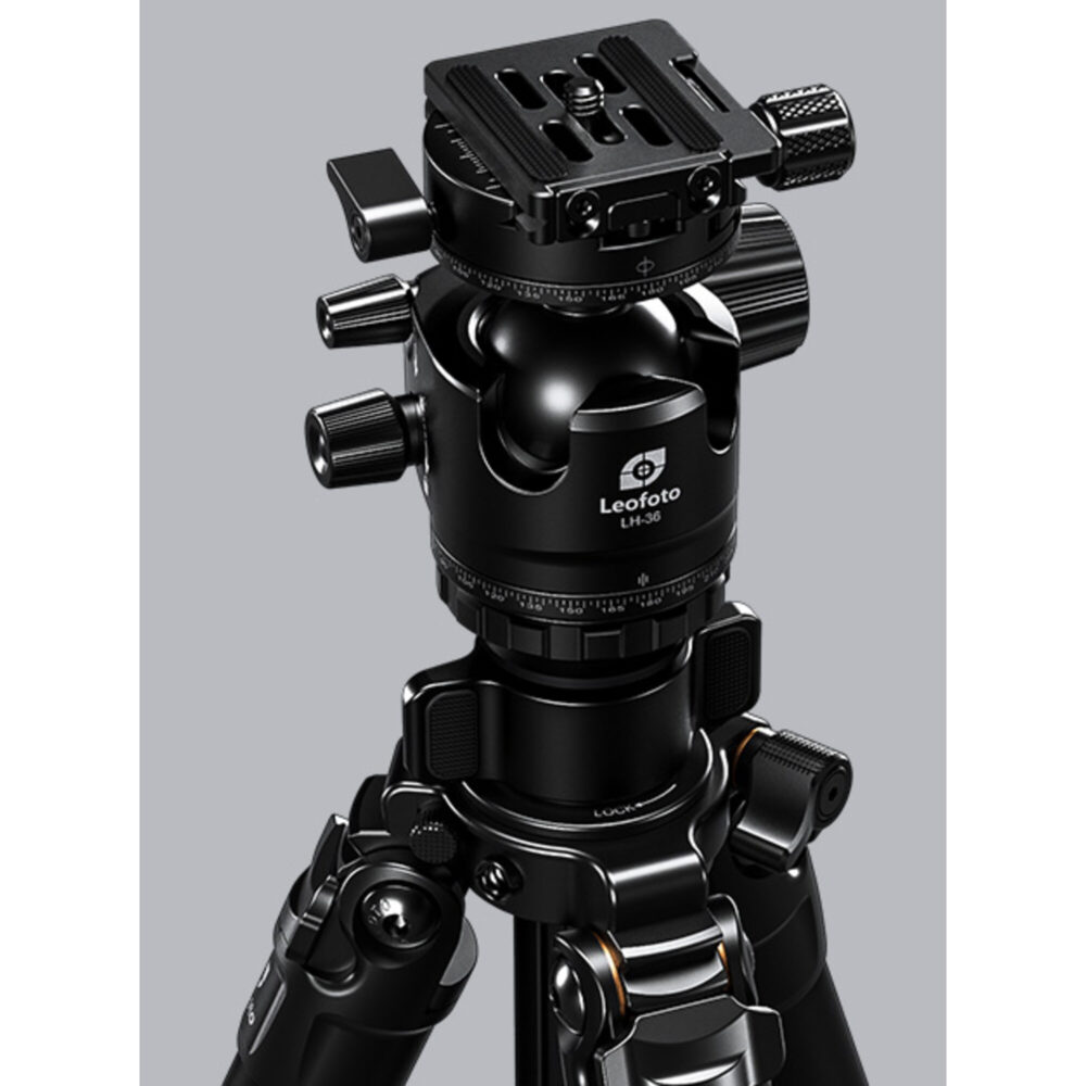 Leofoto LG-284C Tripod LH-36R kogelkop zwart met Arca-Swiss klem en snelkoppelplaat op het statief.