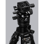 Leofoto LG-284C Tripod LH-36R kogelkop zwart met Arca-Swiss klem en snelkoppelplaat op het statief.