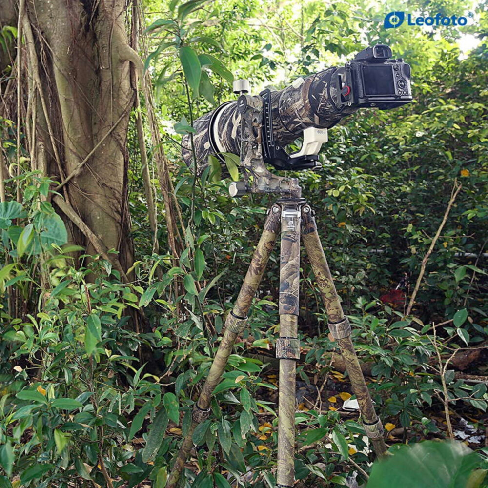 Leofoto LS-365C Tripod full camouflage met grote telelens verscholen tussen bomen.