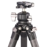 Leofoto LS-284C Tripod close-up van bovendeel met LH-30 kogelkop en scharnierpunten van de statiefpoten.