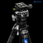 Leofoto LY-254C Tripod close-up van LH-30 kogelkop met Arca-Swiss snelkoppelingsplaat en libel.