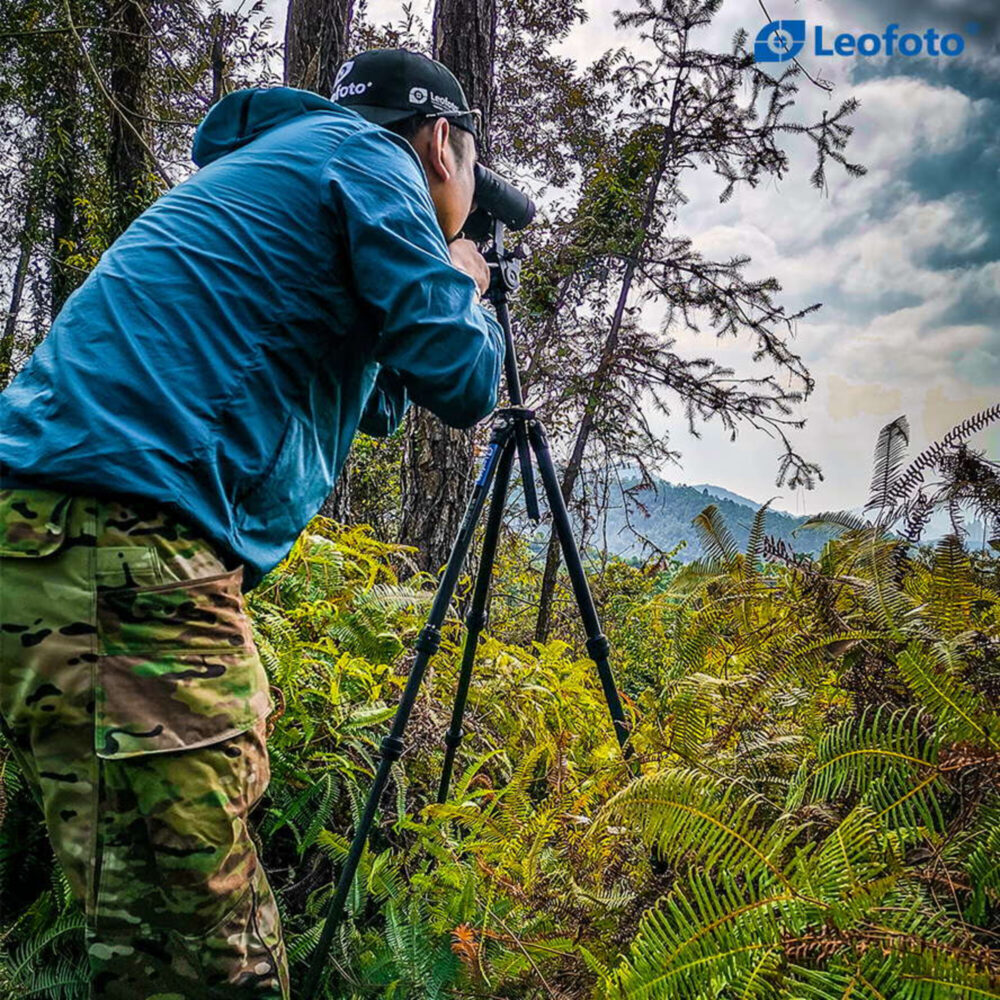 Leofoto LO-224CS Tripod in gebruik door gebruiker die de statiefhoogte aanpast in ruig buitengebied.